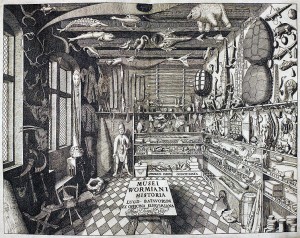 Museum Wormianum