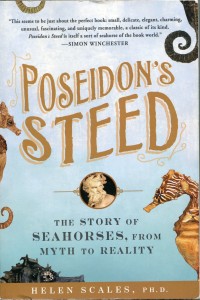 Book cover of Poseidons steed
